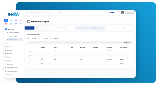 NEO Budget, gestion des budgets