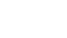 logo IMDS